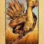chocobo.jpg